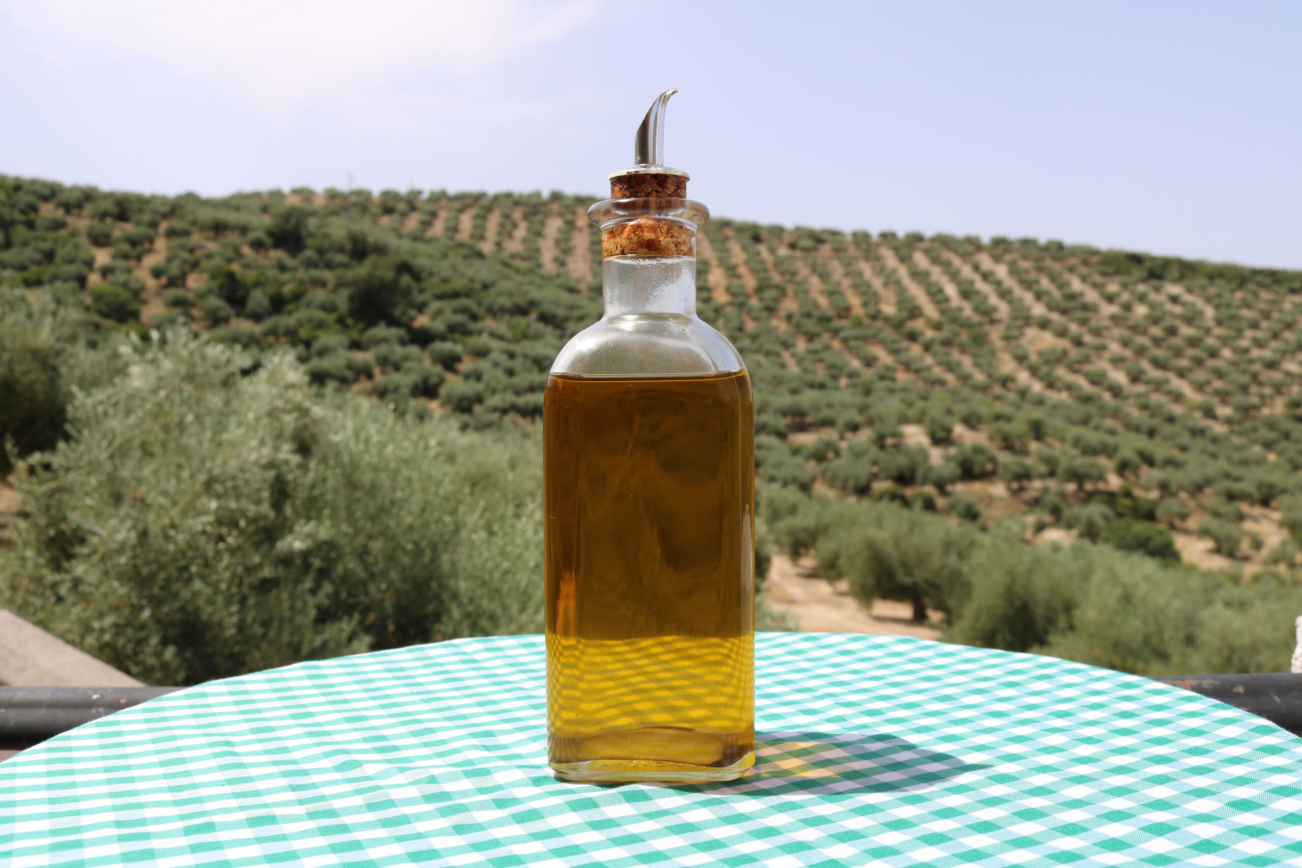 botella de aceite de oliva con fondo de montaña